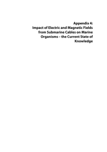 Appendix 4 - Impact of electric and magnetic fields (size