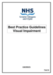 Visual Impairment Best Practice Guidelines