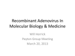 Recombinant Adenovirus In Molecular Biology