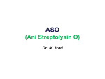 ASO (Ani Streptolysin O)