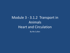 module 3 3.1.2 transport in animals heart and circulation