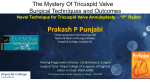 Prakash P Punjabi - EuroValve congress 2017