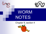 worm notes - Mahtomedi Middle School