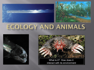 Ecology and Adaptations - Madison County Schools