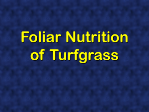 Foliar Nutrition Of Turfgrasses