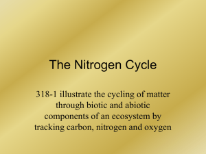 The Nitrogen Cycle