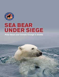 Sea Bear Under Siege, Polar Bears and Climate Change in Alaska