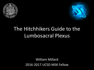 The Hitchhikers Guide to the Lumbosacral Plexus