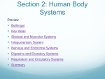 Section 2: Energy Flow in Ecosystems