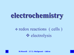 electrochemical cell