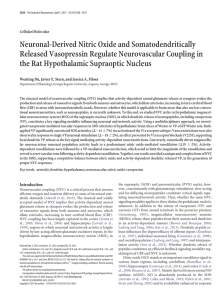 Neuronal-Derived Nitric Oxide and Somatodendritically Released