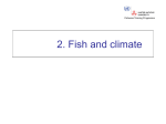 Fish and climate