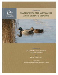 WaterfoWl and WetlandS amid Climate Change
