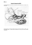 BPPV - 4 - MM3 Admin