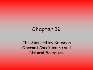 Chapter 12