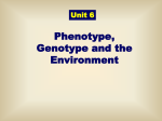 Phenotype Genotype and the Environment