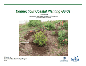 CT Coastal Planting Guide - University of Connecticut