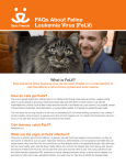 FAQs About Feline Leukemia Virus (FeLV)