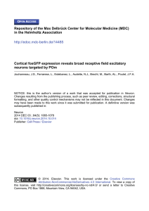 Cortical cfos Expression Reveals Broad Receptive Field Excitatory