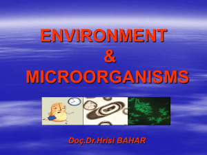 microorganism