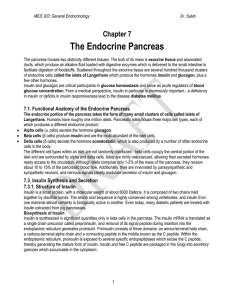 The Endocrine Pancreas