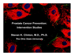 Prostate Cancer Prevention - American Institute for Cancer Research