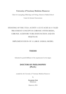 THESIS DOCTOR OF PHILOSOPHY (Ph.D.) - Ti