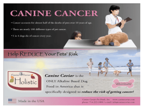 Facts about Pet Cancer