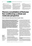 Memory consolidation of Pavlovian fear conditioning: a cellular and
