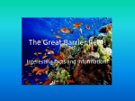 The Great Barrier Reef!