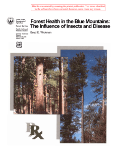 Forest Health in the Blue Mountains