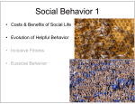 306.30 Spr17 Social Behavior 1