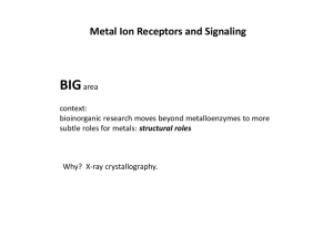 Metal Regulation and Signalling - Zn Proteins