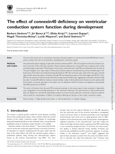 The effect of connexin40 deficiency on ventricular conduction