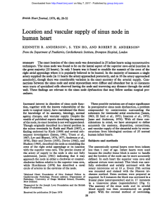 Location and vascular supply of sinus node in human heart