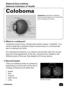 Coloboma - Health Learning Center