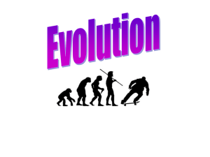 Evolution Notes Powerpoint presentation