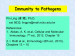 Immunity to Viruses