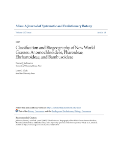 Classification and Biogeography of New World Grasses