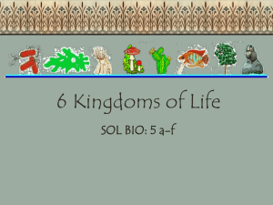 6 Kingdoms