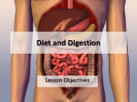 Diet and Digestion Powerpoint presentation