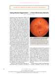 Eyeing Macular Degeneration — A Few Inflammatory Remarks