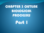 Chapter 3 outline