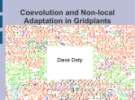 Coevolution and Non-local Adaptation in Gridplants