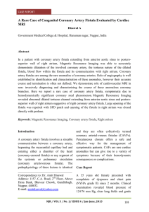 A Rare Case of Congenital Coronary Artery Fistula Evaluated by