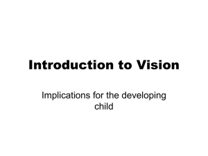 Introduction to Vision - School of Psychology and Human