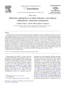 Molecular pathogenesis of feline leukemia virus