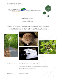 Effects of resource abundance on habitat selection and spatial