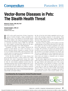 Vector-Borne Diseases in Pets: The Stealth Health Threat