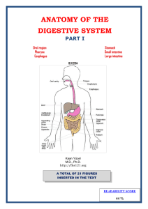 Part I - yeditepe anatomy fhs 121